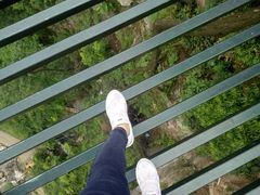 -梦幻奥陶纪景区