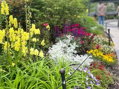 -上海植物园-4号门售票处