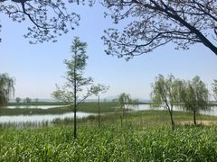 -苏州太湖国际会议中心