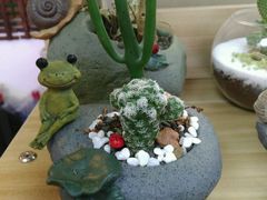 -A+匠心DIY手工坊·首饰·微景观