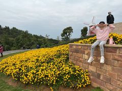 -东莞植物园