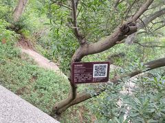 -乌山风景区
