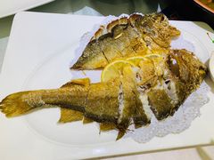 -骏莱海鲜鱼港(五角场店)
