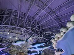 -烟台海昌鲸鲨海洋公园