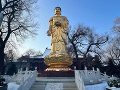 -哈尔滨极乐寺