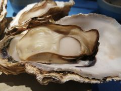 -千岛蚝高压锅生蚝·人参火锅(白云万达店)