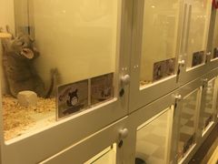 -龙猫仔乐园(惠福东路店)