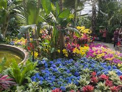 -北京植物园-展览温室