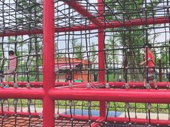 -春花秋色城市公园