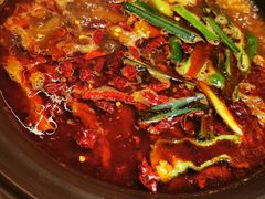 牛肉三鲜锅-肖记公安牛肉鱼杂(田林路店)