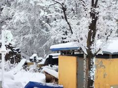 -中旅松花湖滑雪场