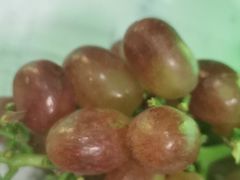 -比亚森自助烤肉料理(裕华店)