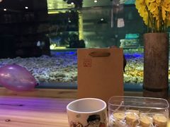 -趣陶陶艺手工坊(新世界百货重庆店)