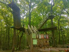 -WeLope紫金山探险公园
