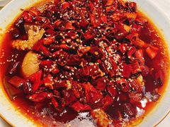 -初蓉丨遇见新川菜(亲贤街荣耀店)