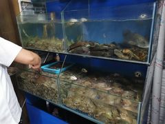 -云南巷海鲜大咖·可加工海鲜