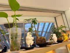 -长风拨筋养身(金虹桥店)