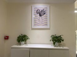 -SILKTONE诗丽堂美容