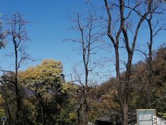 -南窖乡水峪村山情农家