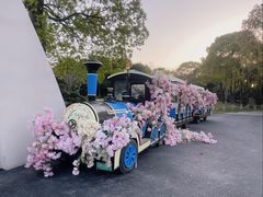 -上海鲜花港