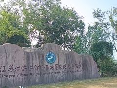 -泗洪洪泽湖湿地景区