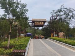 -黄金寨原生态旅游区