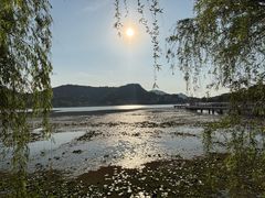 -鸣鹤古镇