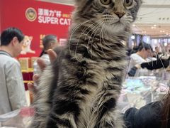 -仲盛世界商城