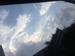 -徐文林香酥饼(桃园店)