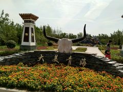 -武清南湖绿博园