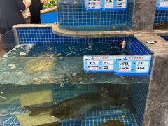 -骏莱海鲜鱼港(五角场店)