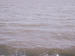 -上海吴淞炮台湾国家湿地公园