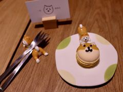 -柴务处·柴犬主题狗咖