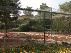 -石家庄市动物园