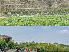 -郑州方特梦幻王国