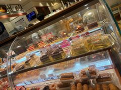 -多乐之日(公益西桥店)