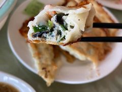 -青岛锅贴(四流中路店)