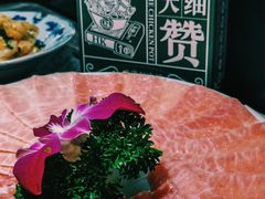 -禄婶鸡煲·打边炉