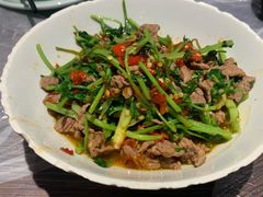 -壹盏灯(惠农店)