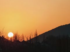 -长田漾湿地公园