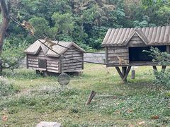 -上海野生动物园