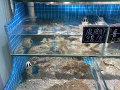 -北戴河庆山饭店·海鲜砂锅粥(北戴河黑石路店)