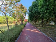 -上海浦江郊野公园-5号停车场