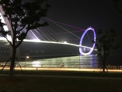 -南京眼步行桥