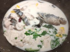 -鲜潭蒸汽石锅鱼(五道口购物中心店)