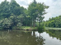 -尚湖风景区