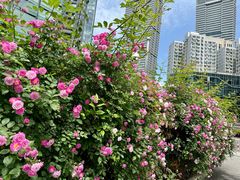 -公平路渡口(轮渡站)