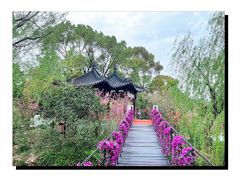 -南汇桃花村