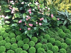 -北京植物园-展览温室