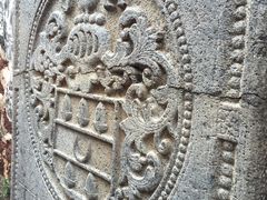 -荷兰红屋